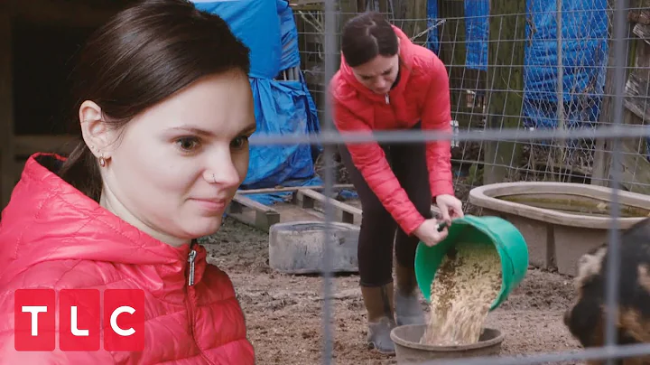 Julia's First Day on the Farm | 90 Day Fianc