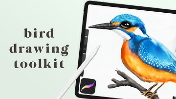 How to Draw Birds: Procreate Tutorial (for any level!)
