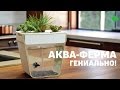 АКВАФЕРМА - выращиваем салат в аквариуме