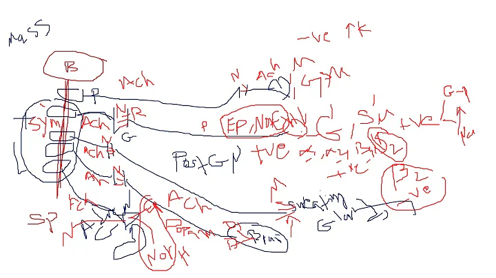 Sympathetic Division video