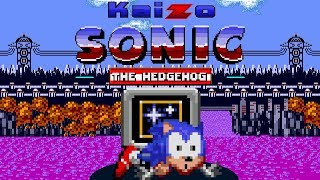 Kaizo Sonic The Hedgehog  The RAGE game  Walkthrough