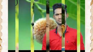 Mon Tobo J Tumaka Haraba