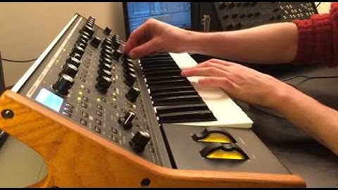 Moog Sub 37 + Korg MS20 mini