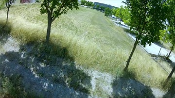 BetaFlight 4.2 First Flight and tuning (PHOENIX)