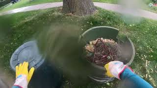 POV: Yard Waste in the Rain