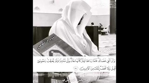 تلاوة تدمع لها العين للشيخ ياسر الدوسري 😢😢