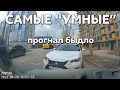 Подборка САМЫХ &quot;УМНЫХ&quot; водителей #836