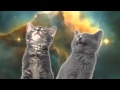 Space cats  magic fly