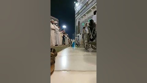إقتباس عشائي مؤثر من سورة هود لفضيلة الشيخ د. ماهر المعيقلي | ٢٨ ربيع الأخر ١٤٤٣