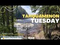 Pedestrian Bridge Dedication at the Tahquamenon Falls State Park