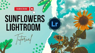 Sunflower Lightroom Editing Tutorial | Lightroom Tutorial #Youtube Shorts #Shahimographyy #lightroom screenshot 5