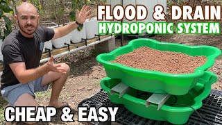 Cheap & Easy, DIY Flood And Drain Hydroponic System