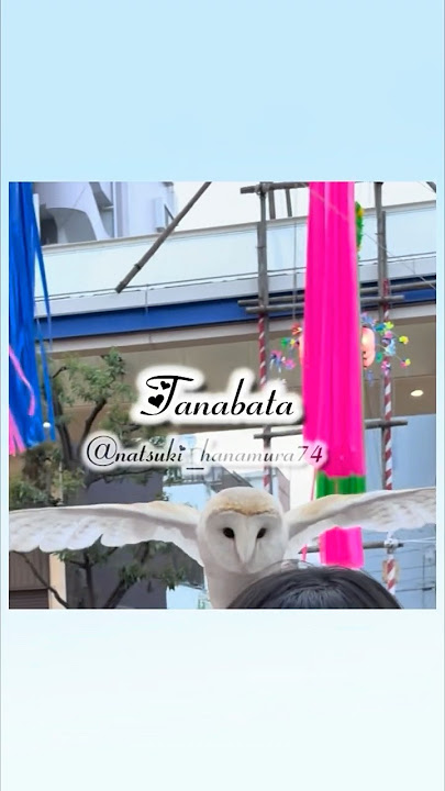 Tanabata Festival in Japan 🎋 after school