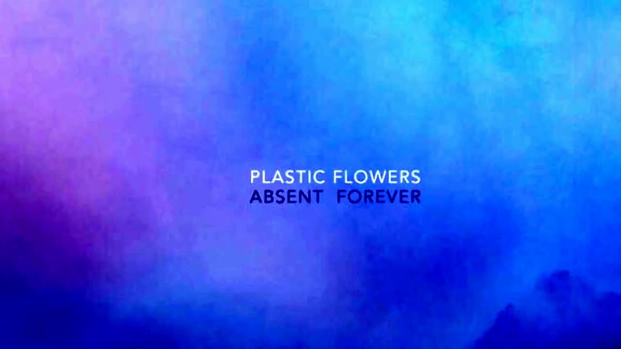 Plastic Flowers - How Can I (2017) (Audio)