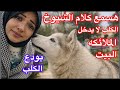 كلمت بناتي علشان ناخد الكلب دار رعاية الحيوان😪البنات بكيت بالدموع 😪