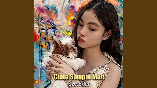 Cinta Sampai Mati