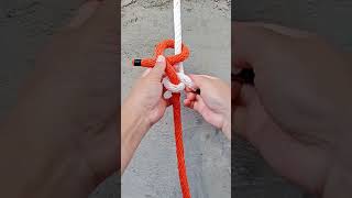Ten Types of Knots