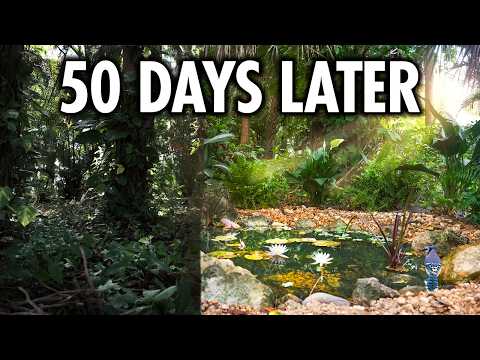 A Backyard Pond Becomes a Living Wildlife Refuge
