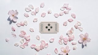 Download Lagu JUNNY 'SEASONS' Official Visualizer MP3