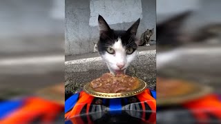 This is why the scientific and technological revolution is needed