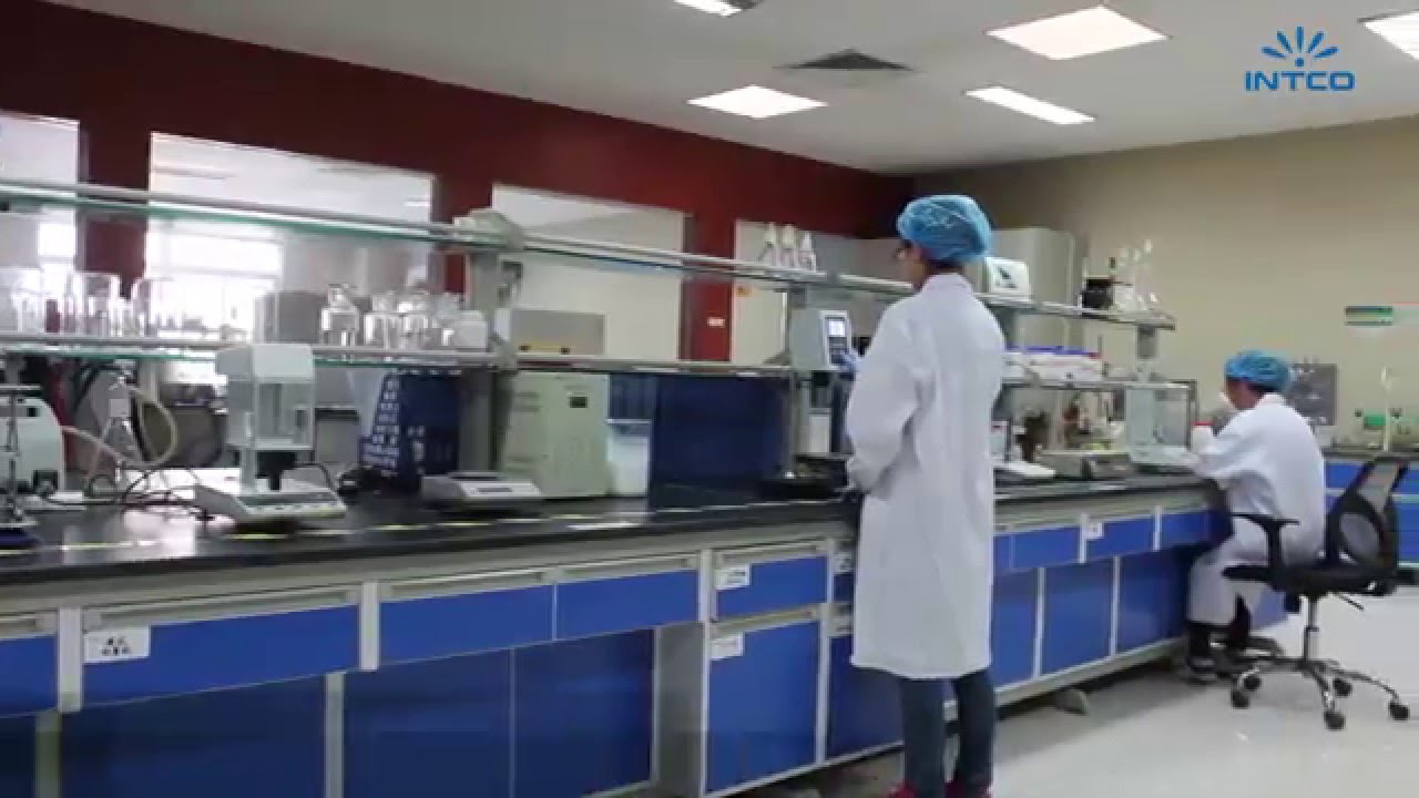 Chinese Leading Manufacturer Of Disposable Gloves Youtube