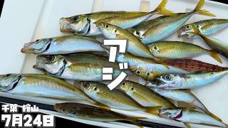 アジがいつでも釣れる