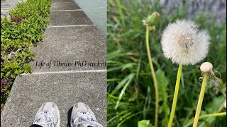 Life of a Tibetan PhD student | Living alone diaries #phdstudent #studentlife #homebodydiaries #vlog