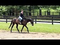 Storm Struck - schooling
