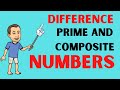 Prime vs. Composite Numbers: Key Differences Explained 🔢