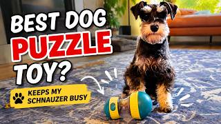 Best Dog Puzzle Toy to Keep Your Pup Busy, Smart & Entertained! Adjustable Treat Dispenser Ball