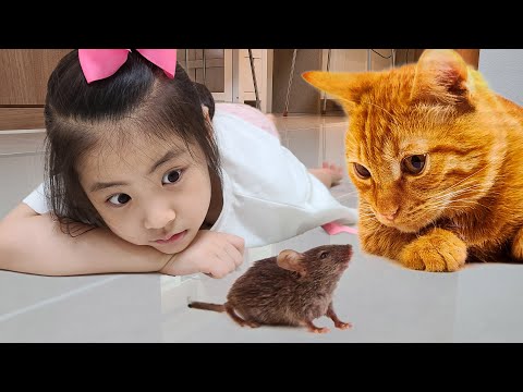 서은이와 엄마의 마우스 무선장난감 <strong>코딩펫</strong> 이야기 Mouse Wireless Toy and Coding Pet