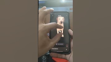 Google 3D Animal View | Tips for Teachers