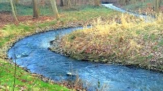 *HAARBY / HÅRBY Å* River In Denmark With Brown Sea Trouts - Havørred Fiskeri I Åen *HAARBY / HÅRBY Å* River In Denmark With Brown Sea Trouts - Havørred Fiskeri I Åen