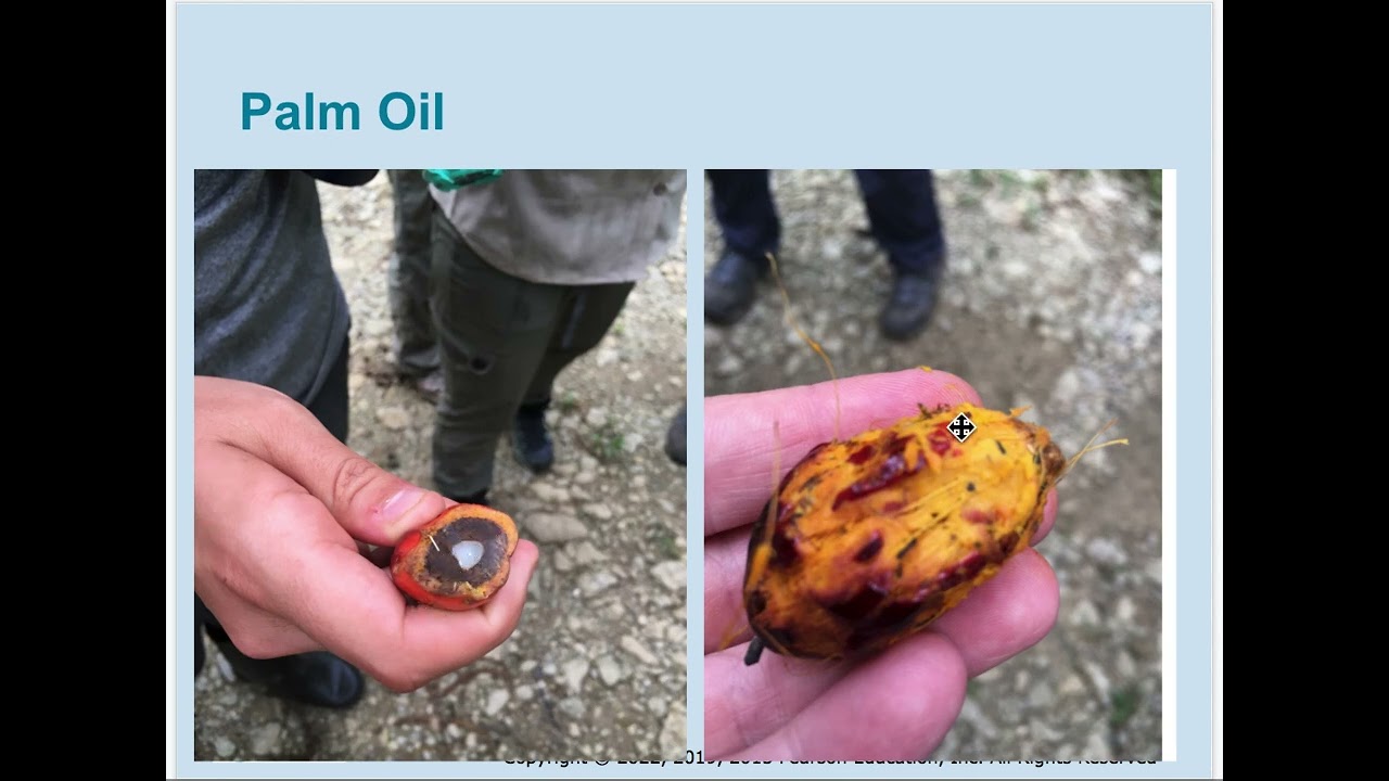 Ch 9 Forests, Forest Management, & Protected Areas