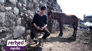 Metîn Ayılmazdır - Şengalê Birîndare