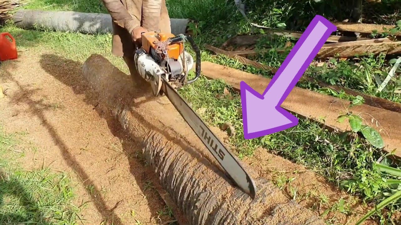 Wood Cutting Machine Chainsaw STIHL MS 070 VS Palm Tree - YouTube
