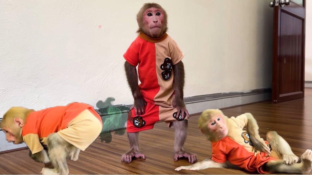 Oh No! Bibi Accidentally Ate Expired Yogurt and Ended Up with a Stomachache