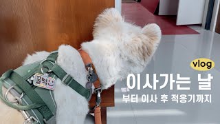 Eng) Dog's daily Vlog 🐶 From the day of moving to the super-fast adjustment to the new house