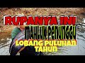 Tangkap predator di lobang puluhan tahun