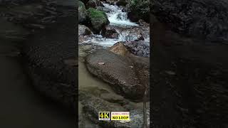 Quick Relax with soft river sounds #shorts #natureasmr #livestream