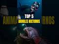 ⚠️ TOP 5 Animales Marinos Nocturnos #peces #sea #ocean #playa #miedo #snorkeling #curiosidades