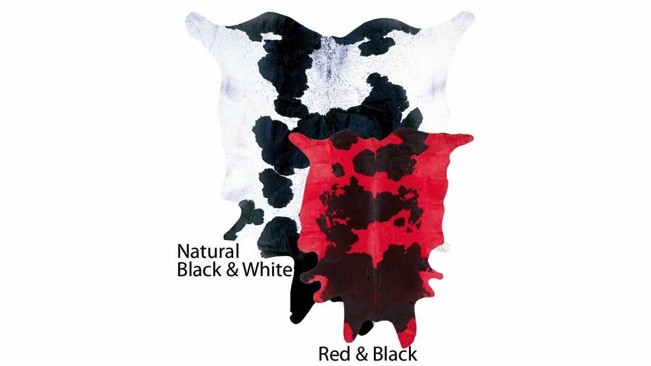 Cowhide Rugs New York by YouTube