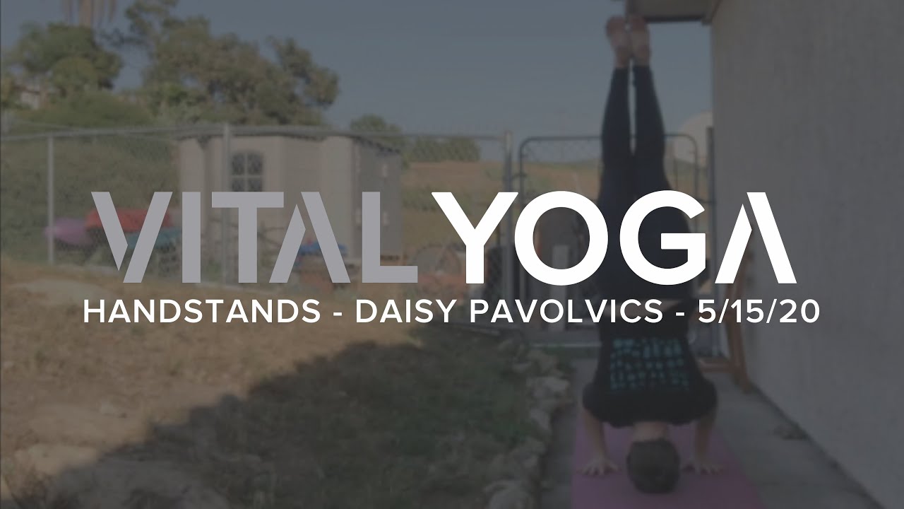 VITAL Yoga - Handstands - Daisy Pavlovics - 5/15/20 - YouTube
