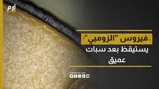 بعد أن قضى آلاف السنين متجمدا.. فيروس 