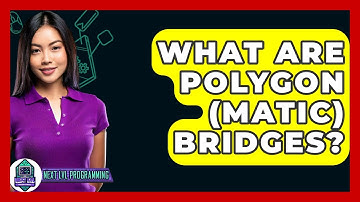 What Are Polygon (MATIC) Bridges? - Next LVL Programming