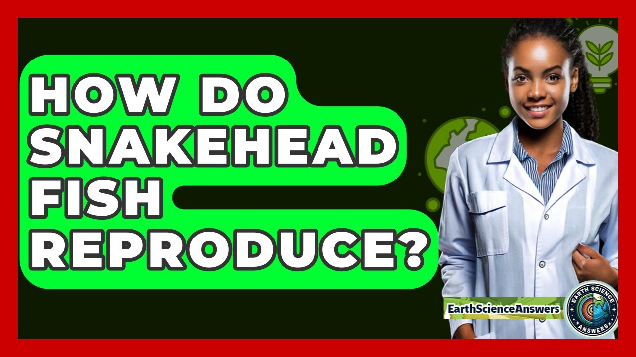How Do Snakehead Fish Reproduce? - Earth Science Answers
