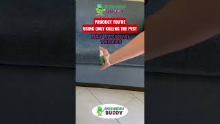Bed Bug Exterminators Secret For Infestations