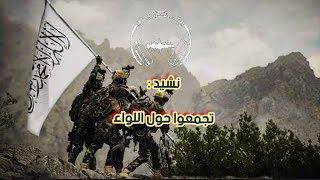 نشيد تجمعوا حول اللواء | nasheed  