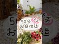 50分でお庭プチ改造🌸