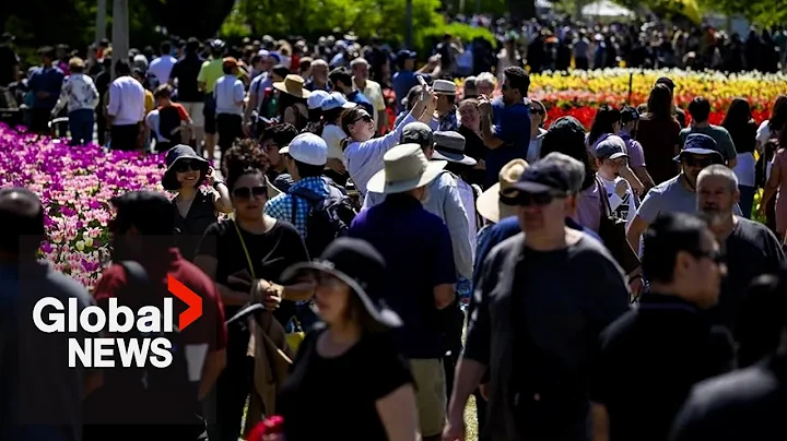 Canada's population grows 430,000 over 3 months. What's behind the spike? - DayDayNews